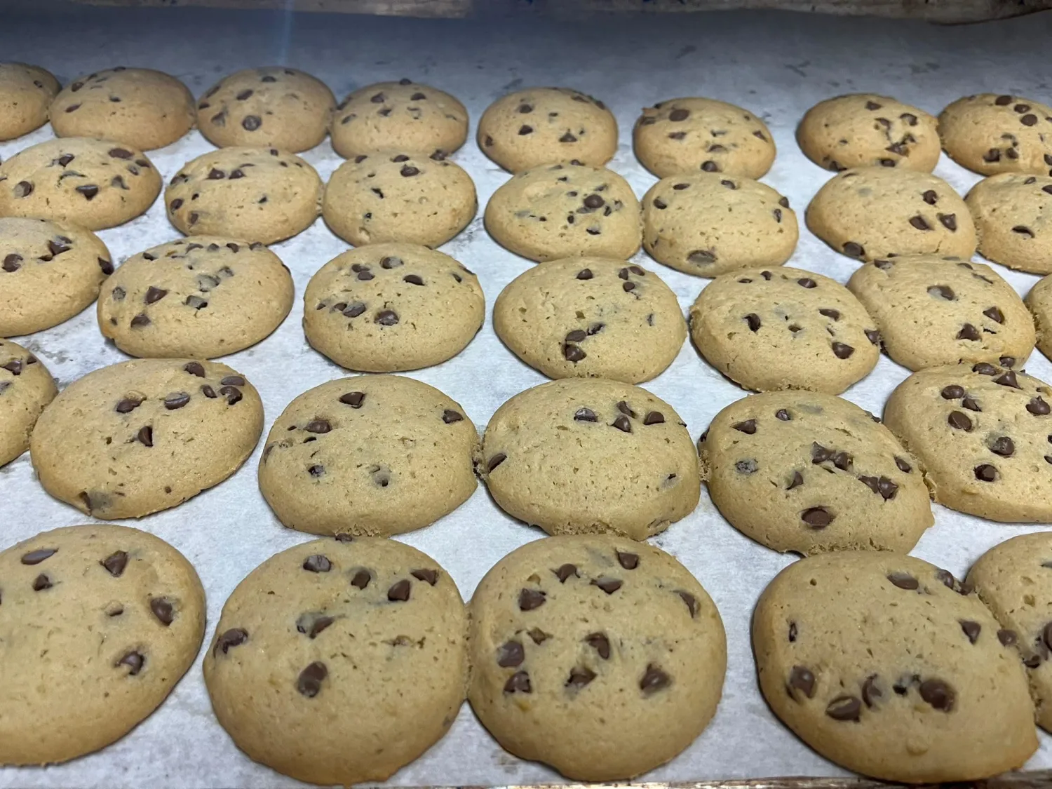 Chocolate Chip Cookies, Individually Wrapped Gourmet Cookies Pack of 18 for Birthday Treats, Thank You, Care Package, Holiday Christmas Gift Baskets Food, Scottos Cookies Bakery Fresh Favorites