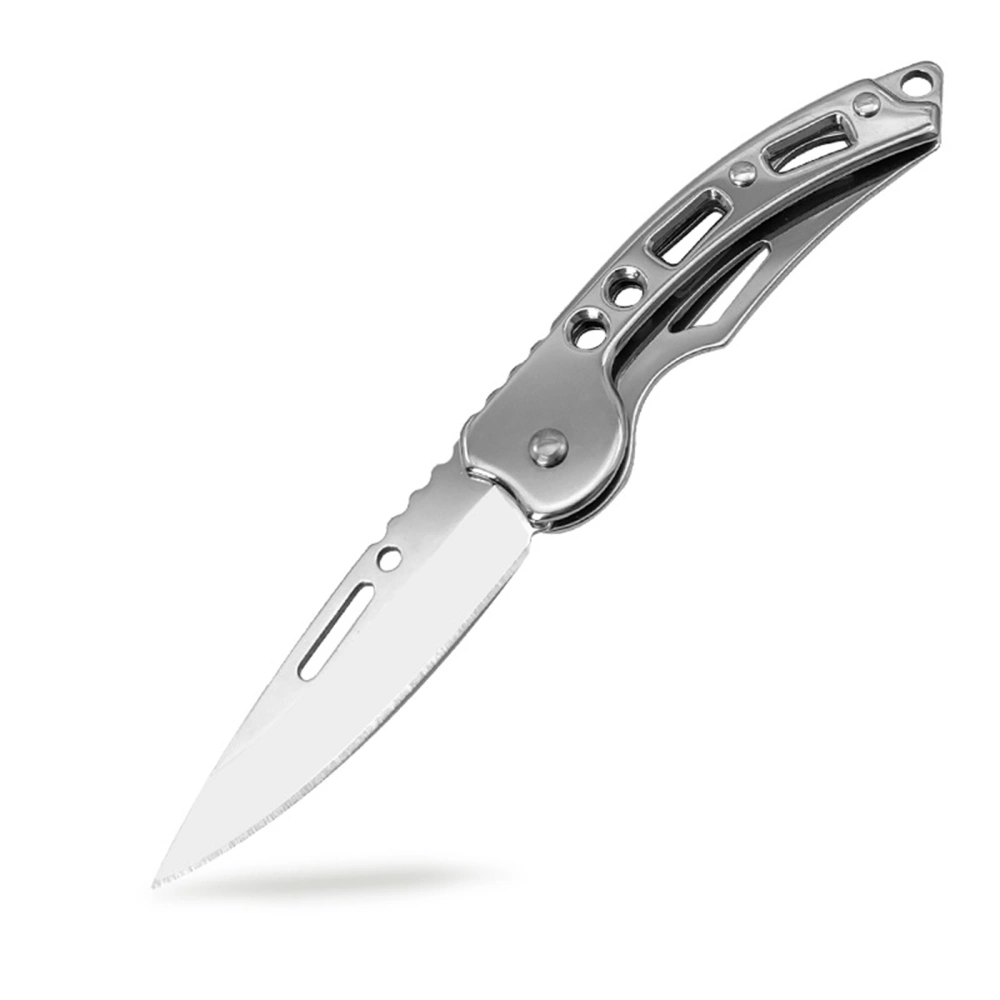 Folding Knife Stainless Steel Pocket Knife for Hiking, Camping