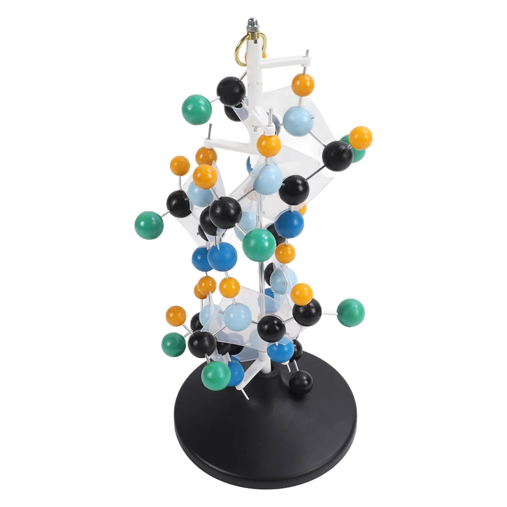 Protein Molecular Model Plastic QH3212‑2 Molecular Structure Model for Classroom School