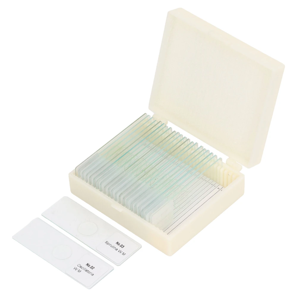 25PCS Microscope Slides Optical Glass Cover Transparent Slide Set for Algae Cell Tissue Specimen