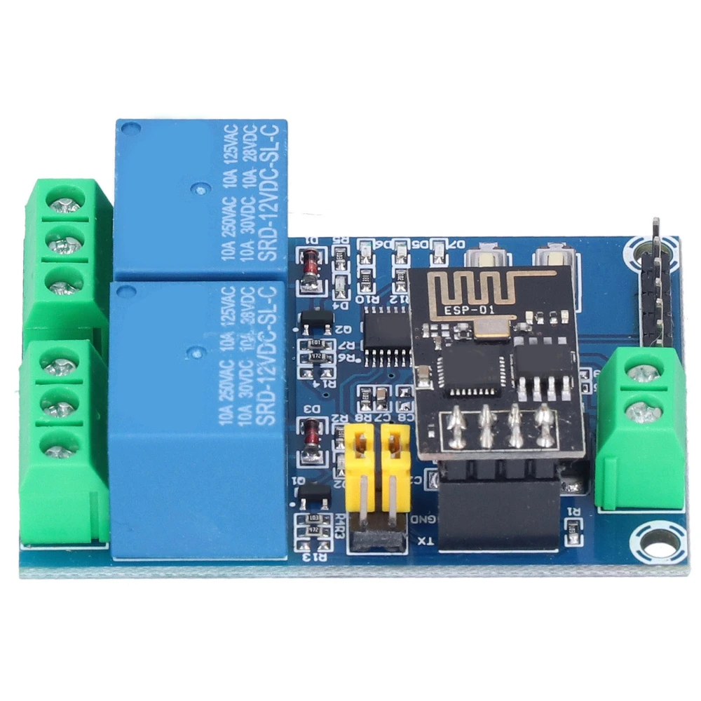 Dual Channel WiFi Relay 12V ESP8266 WiFi Relay Module Phone APP Remote Switch for IOT Smart Home