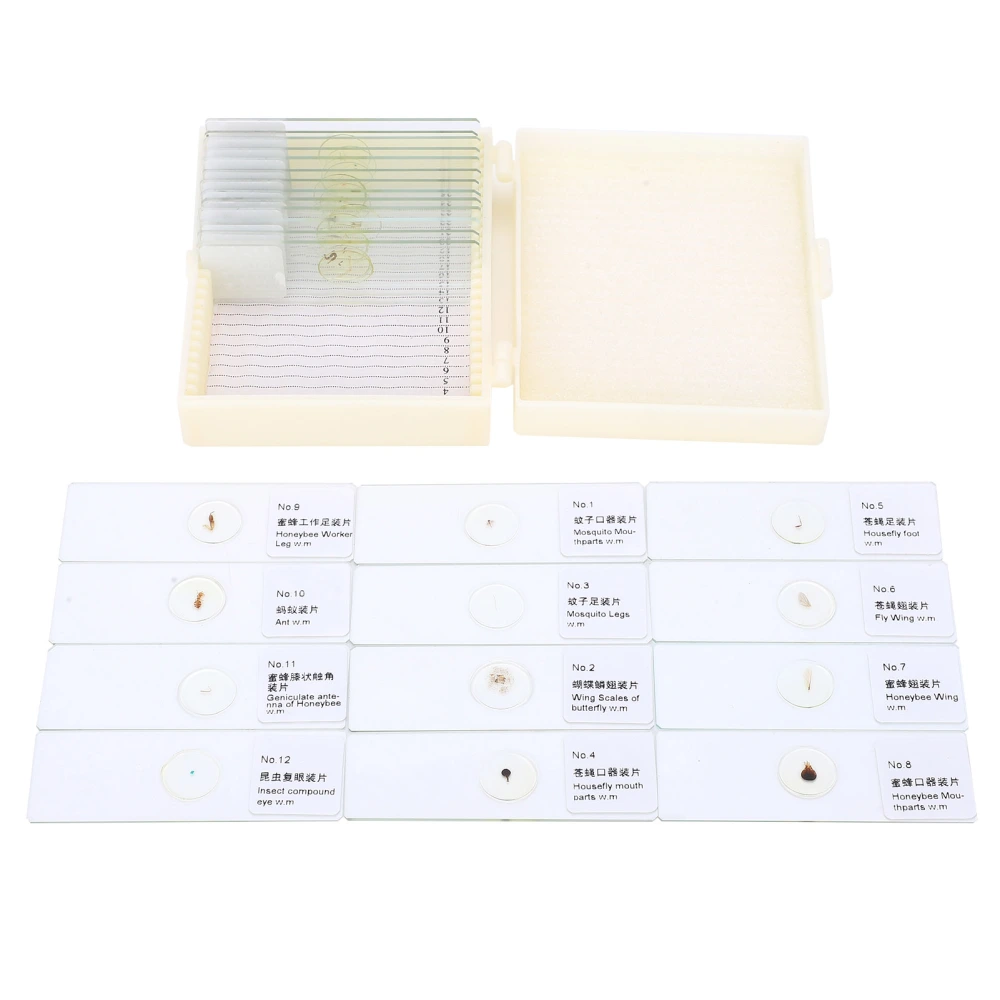 25Pcs PJH‑25 Microscope Slides Set for Insects Biological Experiment Medicine Education