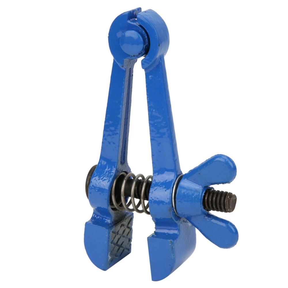 Mini Hand Vise Steel Spray Blue MultiPurpose Small Pliers Hardware Tool Supplies(25mm)