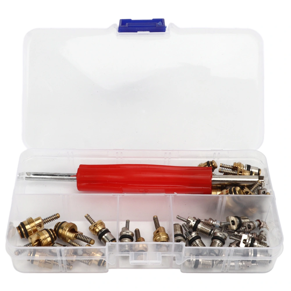 41Pcs AC Master Valve Core Kit with Remover Tool R12 R134a Automotive Refrigeration Valve Cores for Most Cars