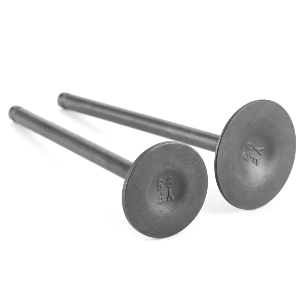 Pair Engine Head Intake Exhaust Valve Parts Fits for SHINERAY ZHONGSHEN ZSCB 250cc