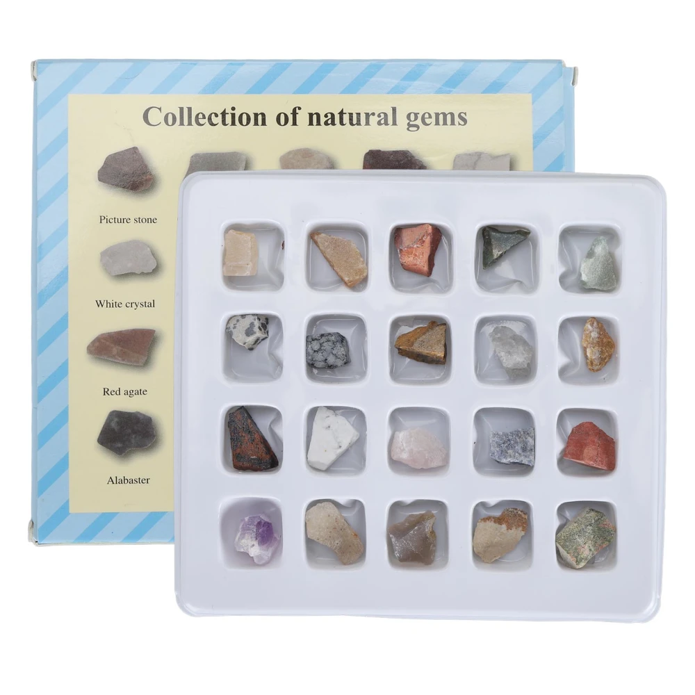 Rock Collection Kit Rock Fun Professional Mineral Rock Science Educational Kit for Children Boys Girls 20pcs Original Rock Set 2