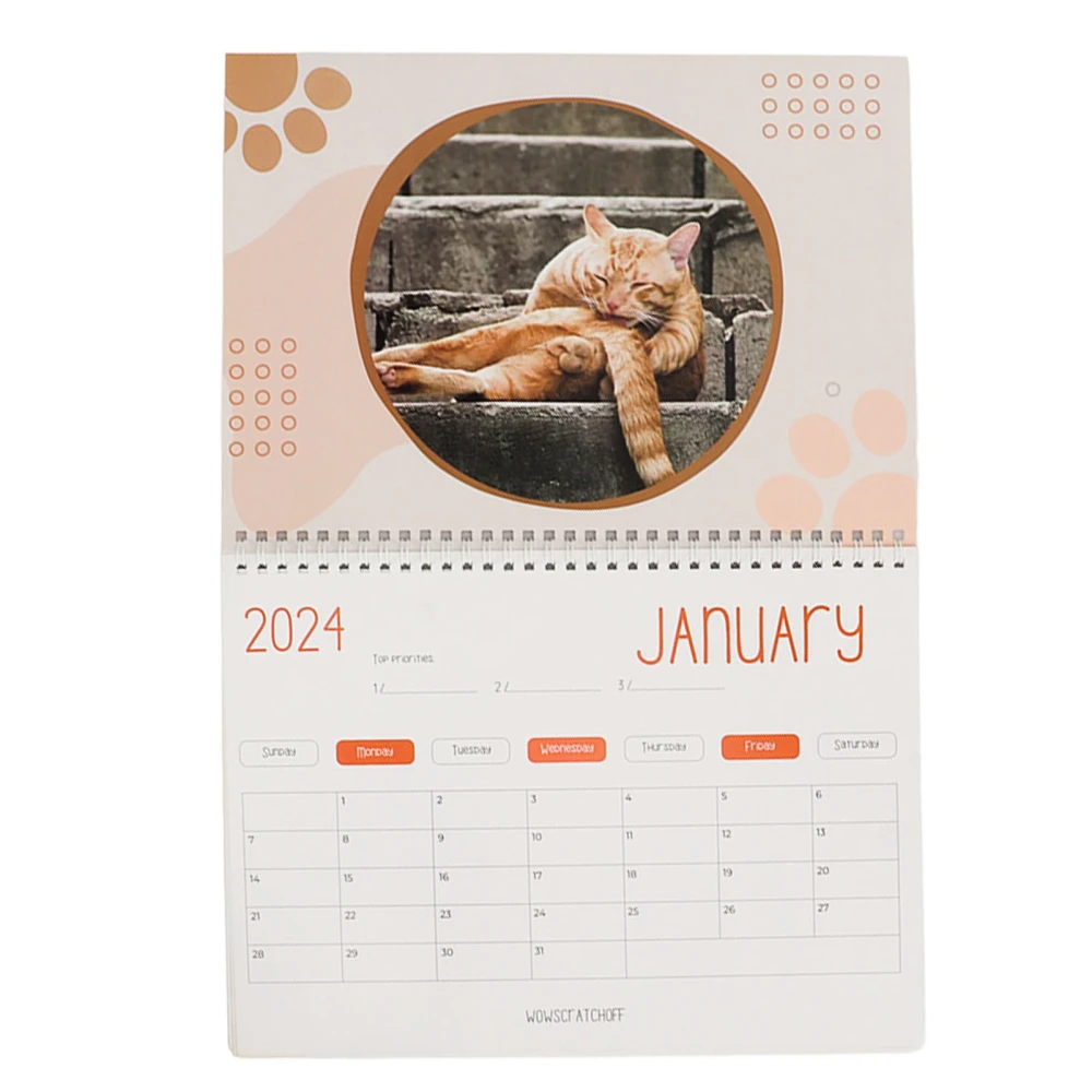 Cat Balls 2024 Calendar 12 Month Funny Cat Balls Calendar Cat Butthole Calendar for Cat Lovers