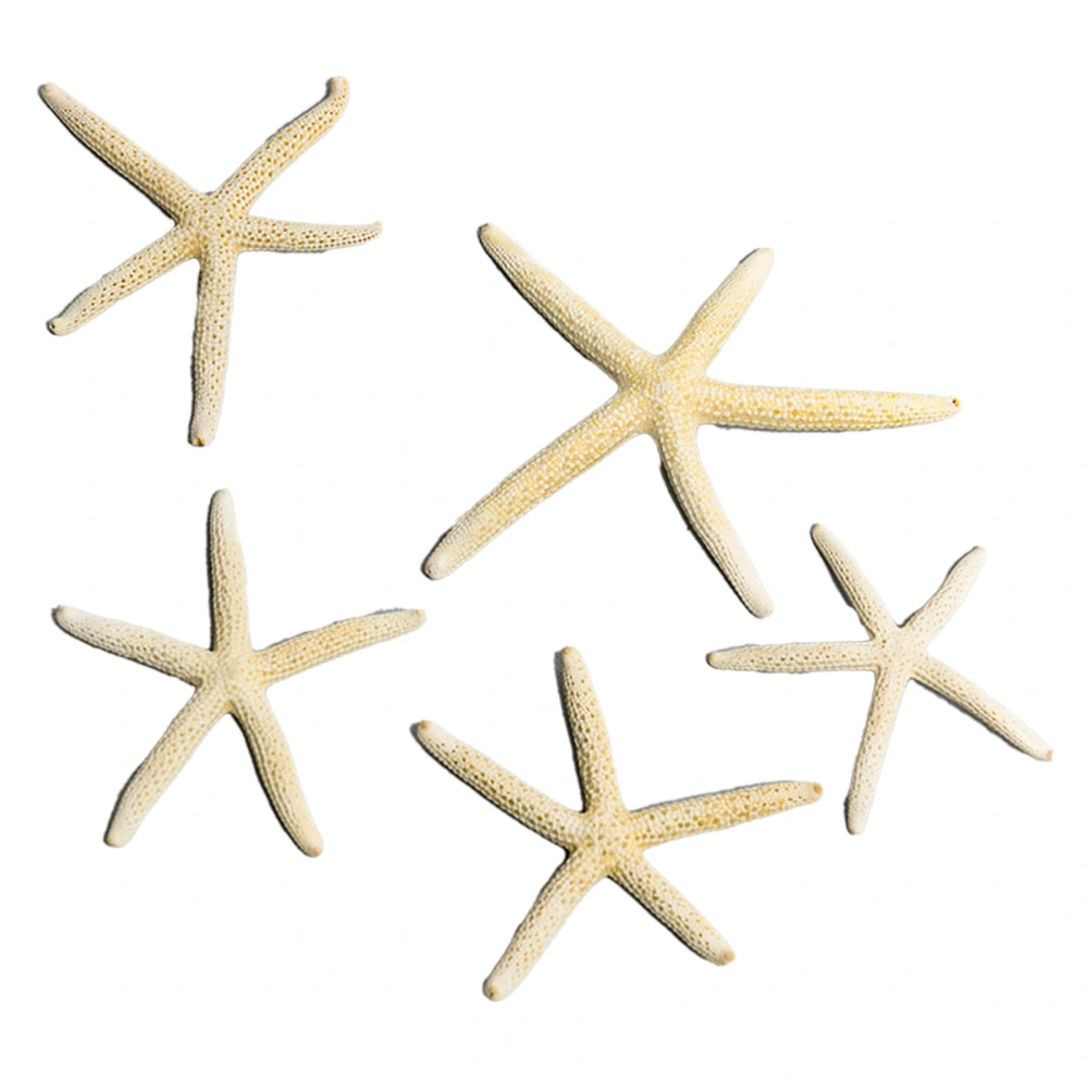 Fish Tank Starfish Decor Unique Beautiful Starfish Ornament Set for Home Aquarium DIY Photo Frame Wind Chime Type 2 (5‑7.5cm / 2‑3in) 5