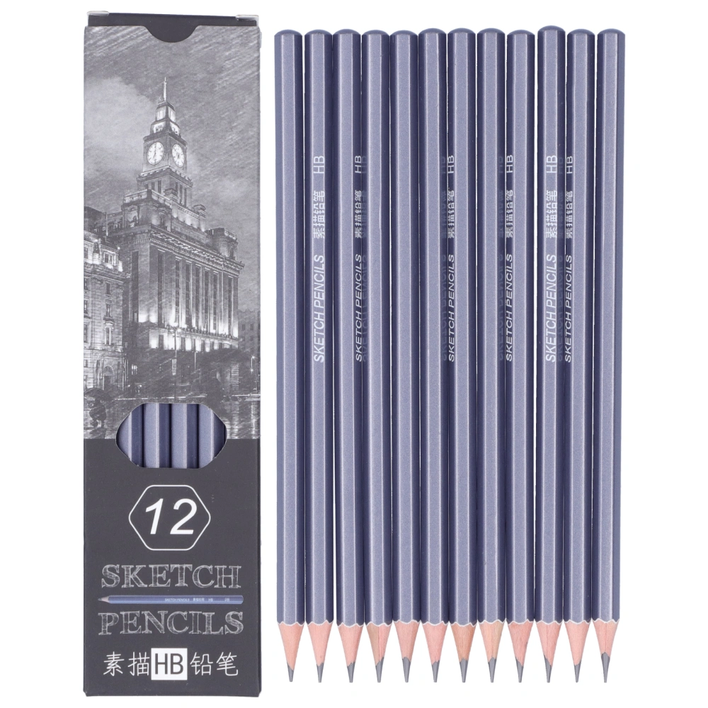 12Pcs Graphite Pencils Hard Professional Pens Drawing Set for Sketching Graffiti Design