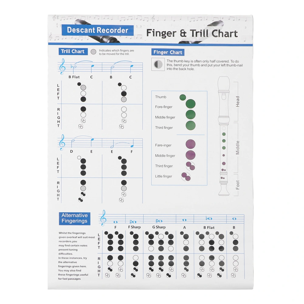 Clarinet Chord Fingering Chart 8 Hole Learning Aid Reference Music Poster for Beginner