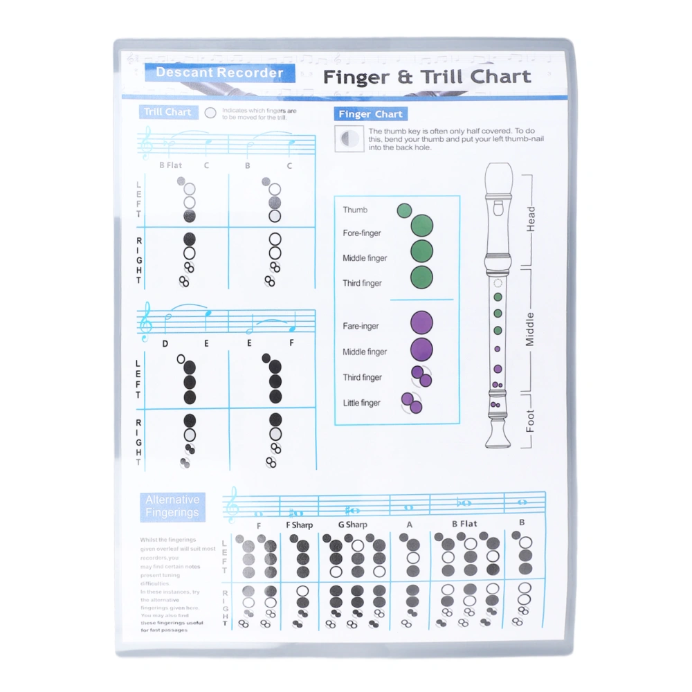 Flute Fingering Chart 8 Holes Clarinet Chord Chart Chord Spectrum Practice Sheet for Beginner Student