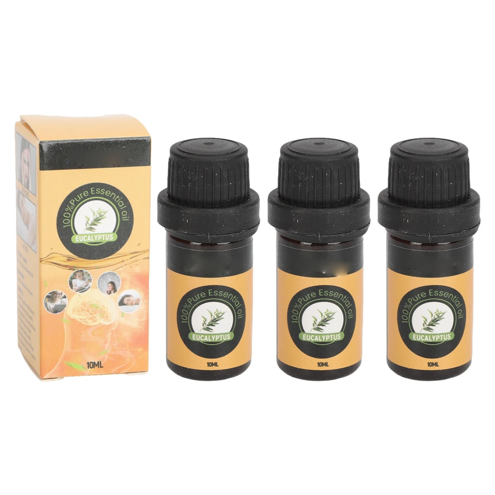 3pcs Mind Calming Concentration Essential Oil Relieve Stress Eucalyptus Scent Memory Essential Oil 10ml