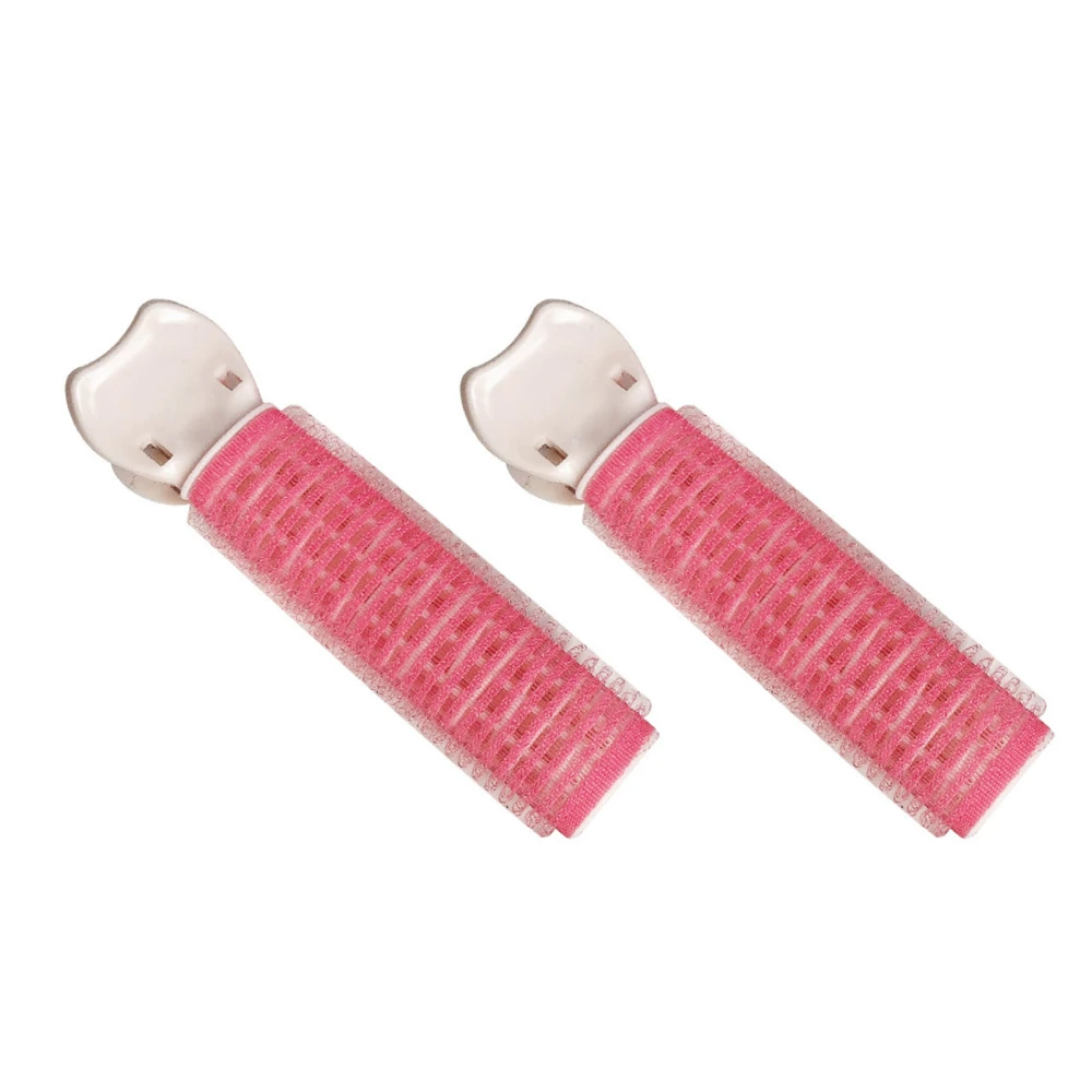 2pcs Volumizing Hair Clip Professional Wome Girls Volume Fluffy Hair Root Clips Styling Tool Pink