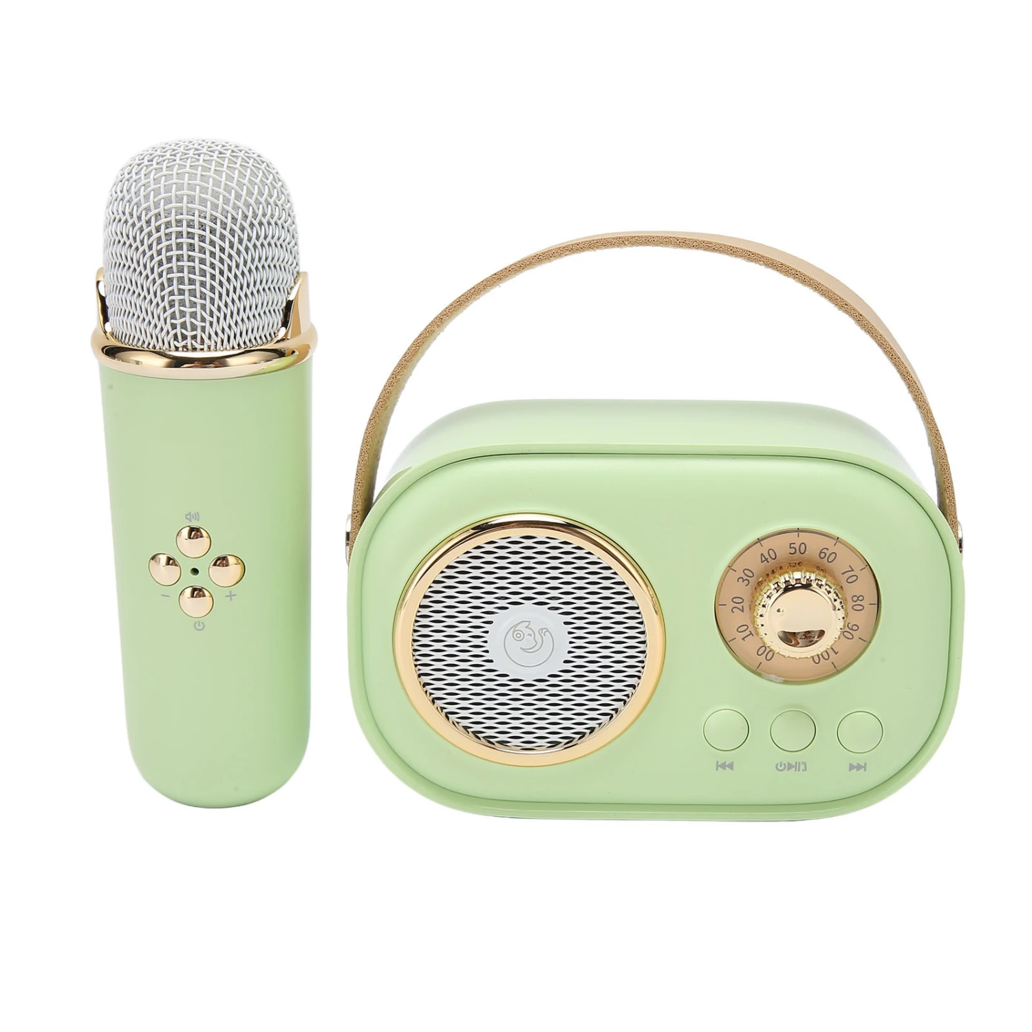 Wireless Bluetooth Speaker with Microphone Portable Rechargeable Mini Mics Speaker Set for Home Party
