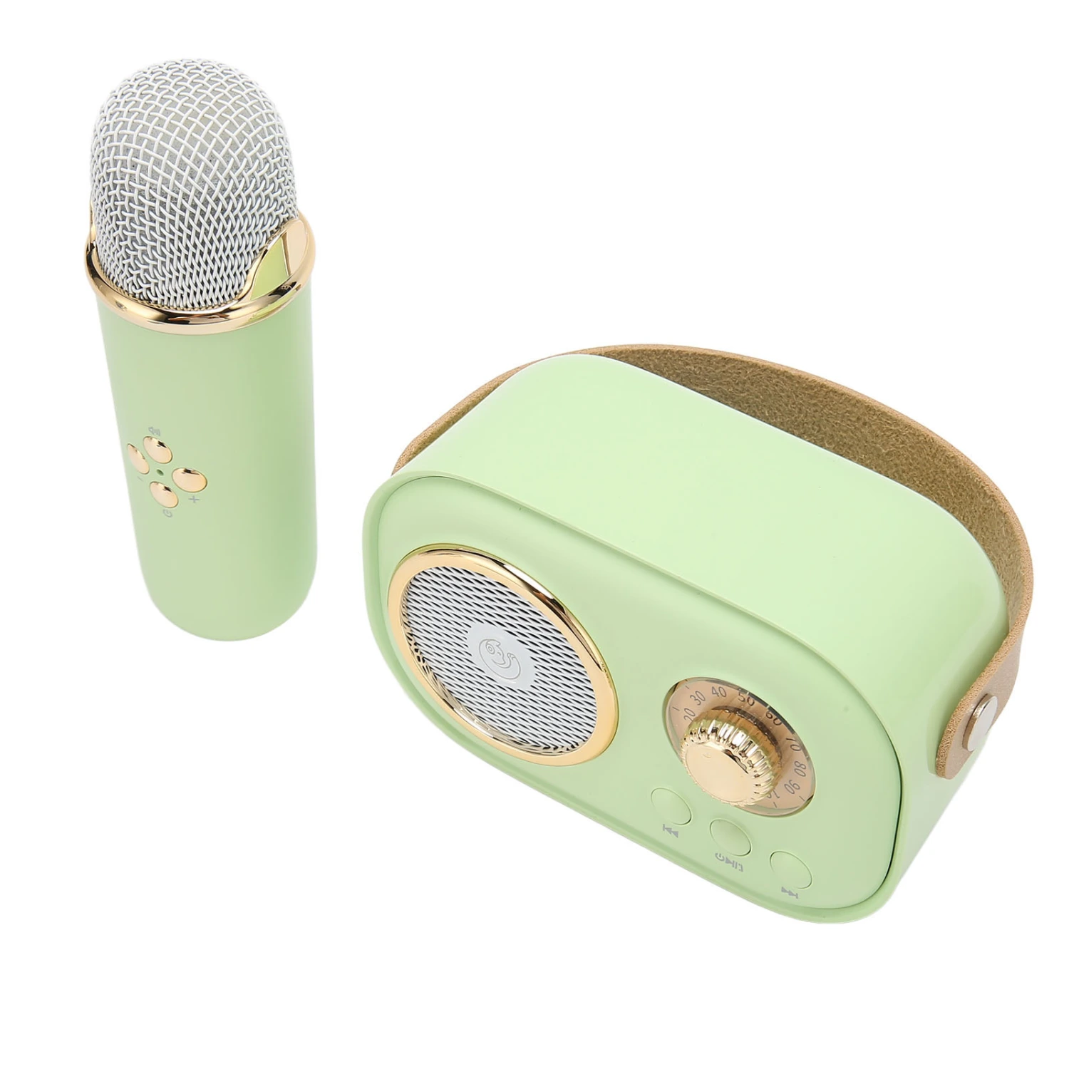 Wireless Bluetooth Speaker with Microphone Portable Rechargeable Mini Mics Speaker Set for Home Party