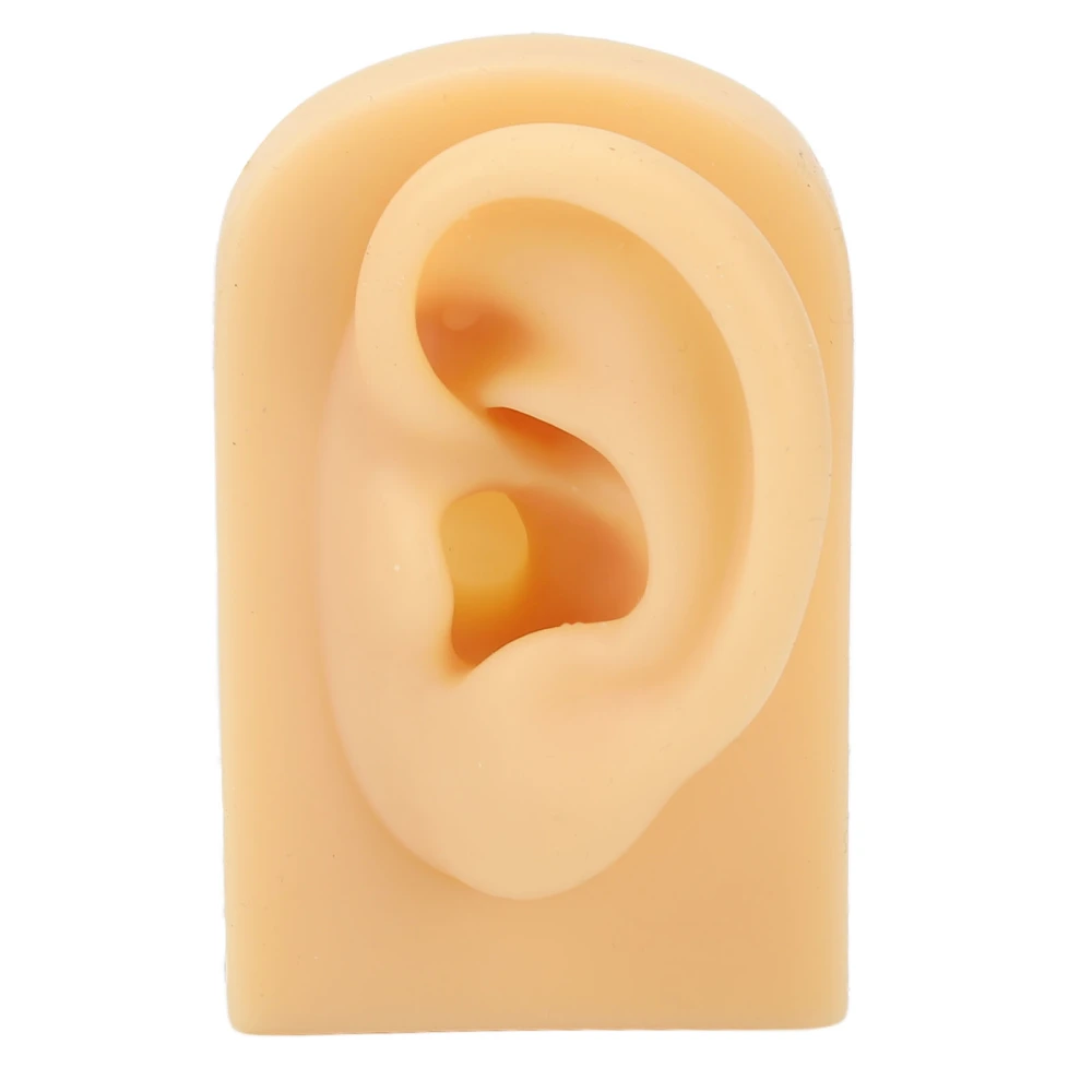 Ear Model Soft Silicone Flexible Ear Simulation Pierce Practice Jewelry Display Fake Ear Model Left