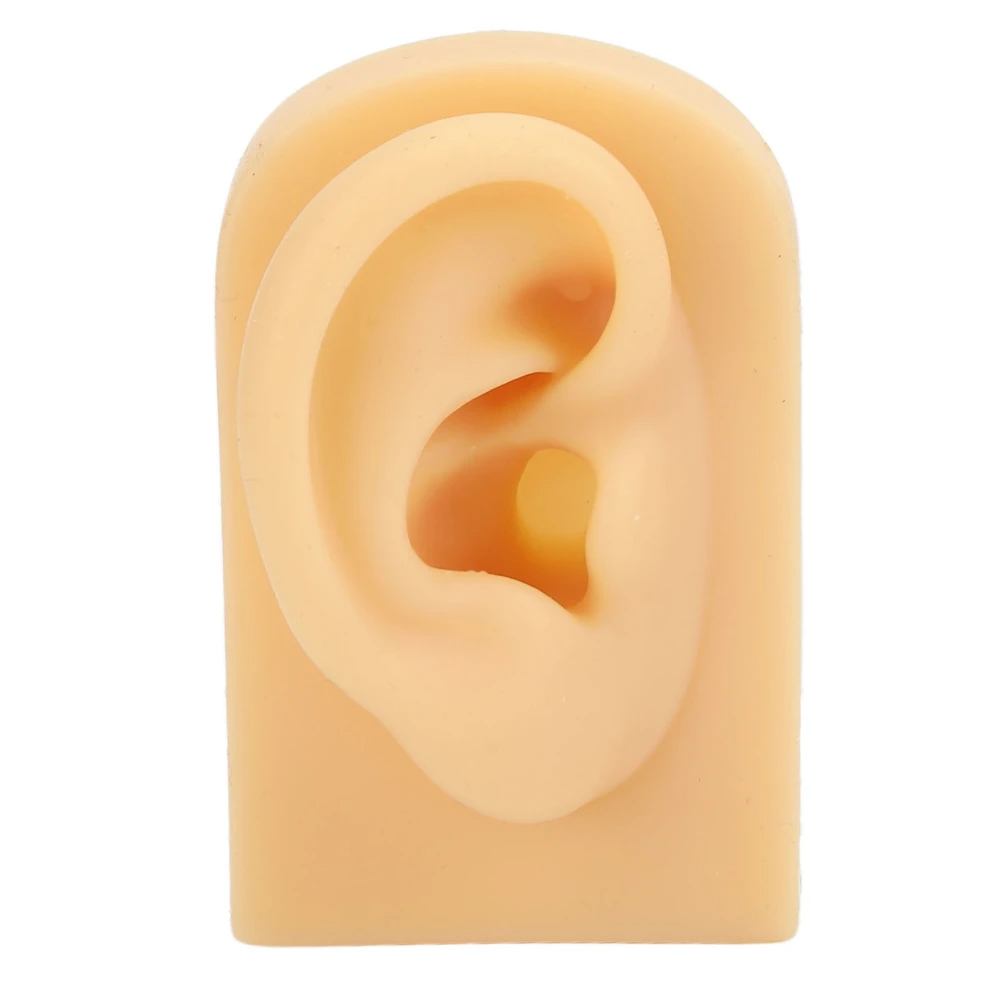 Ear Model Soft Silicone Flexible Ear Simulation Pierce Practice Jewelry Display Fake Ear Model Right