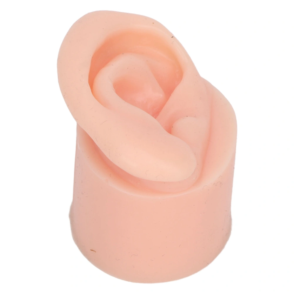 Silicone Ear Model Flexible Soft Reusable High Simulation Piercing Ear Model for Education Display Light Skin Right