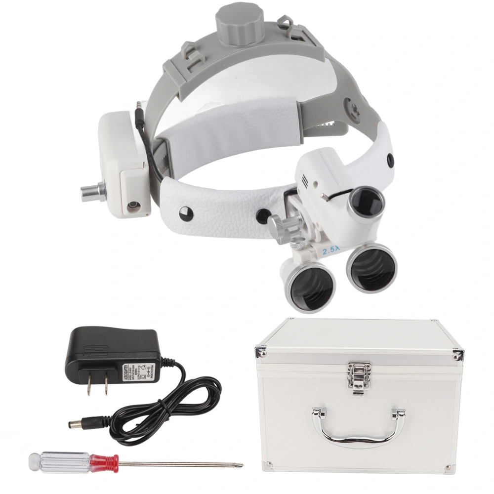 2.5X Lighted Head Magnifying Glasses Adjust Brightness Head Mount Magnifier with Light for Dental Surgery 100‑240V US Plug