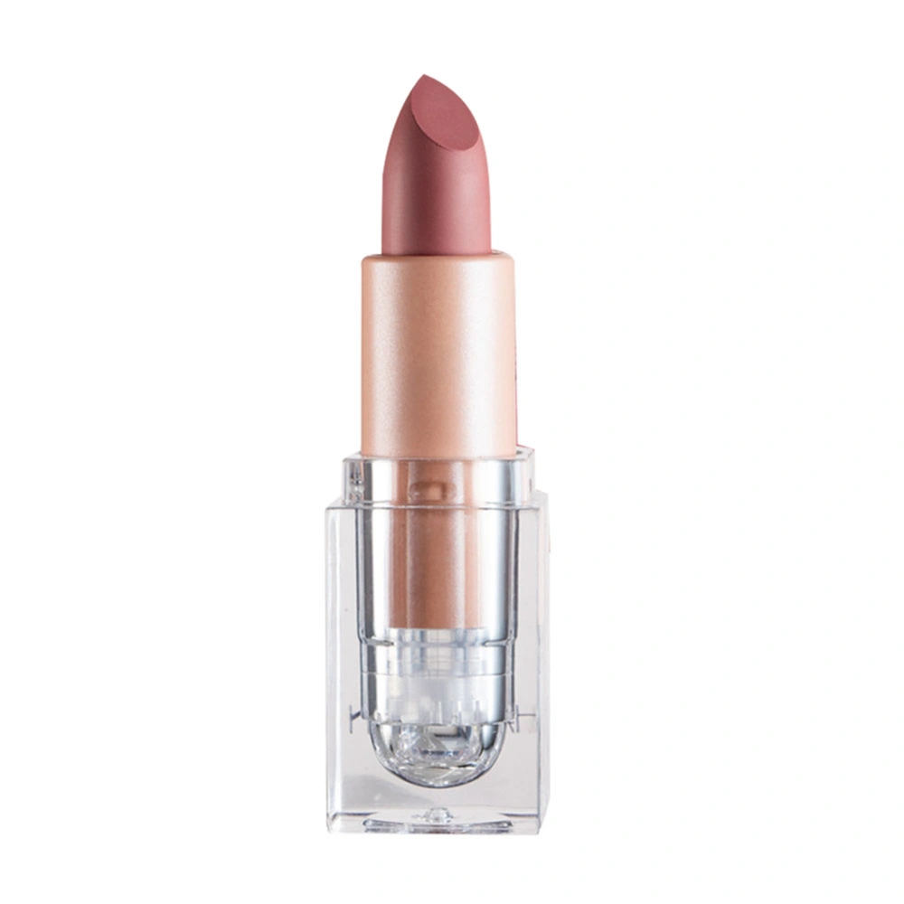 Matte Lipstick Moisturizing Nourishing Bright Long Lasting Small Cube Matte Makeup Lipstick 602