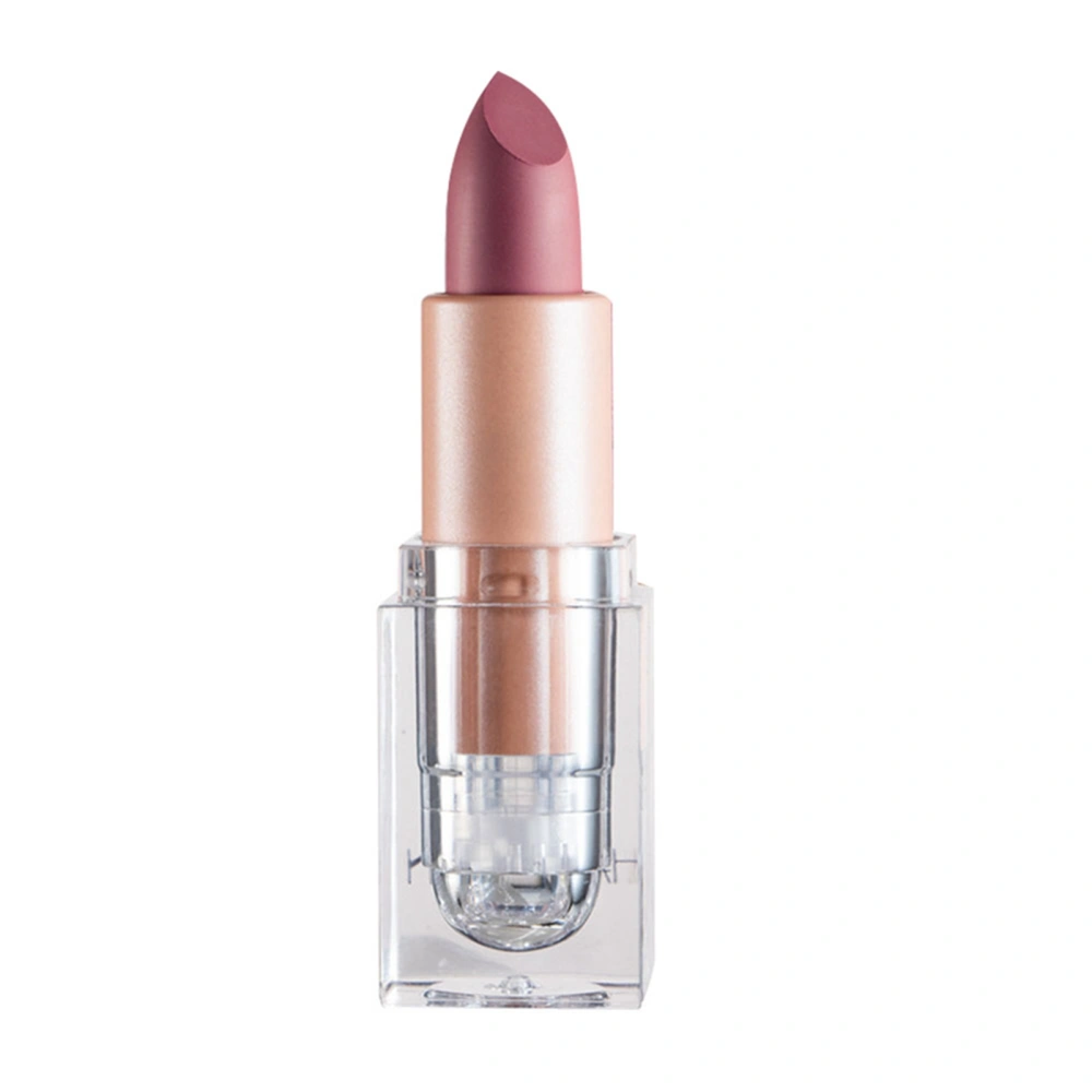 Matte Lipstick Moisturizing Nourishing Bright Long Lasting Small Cube Matte Makeup Lipstick 603