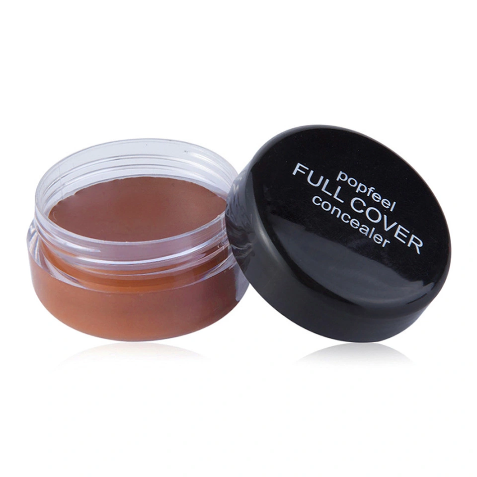 Makeup Concealer Full Coverage Lightening Dark Circle Fashionable Stylish Concealer for Nose Cheek FC04