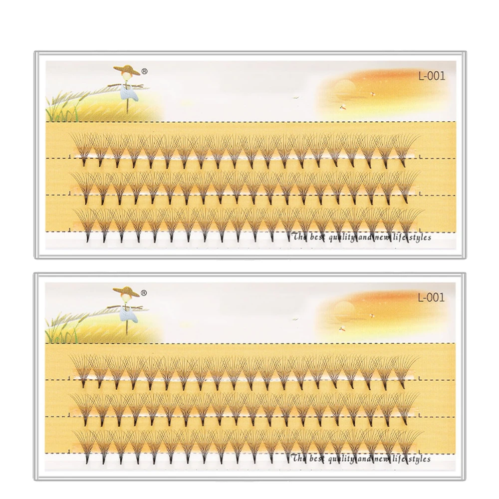 2 Box Individual Lashes 0.07 10D Even Hand Dispensing Warpage Lightweight Lash Clusters Extensions