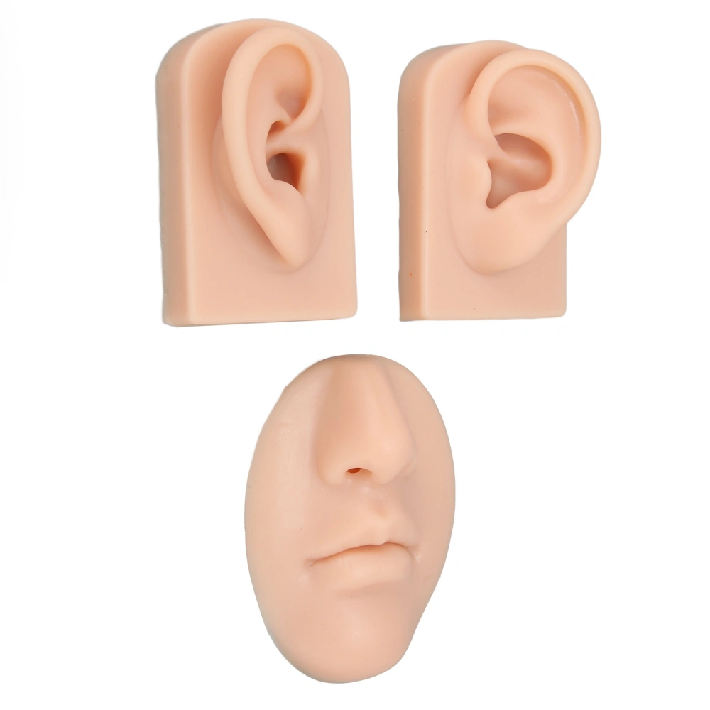 3D Nose and Mouth Model Silicone Ear Model Simulation Display Props for Piercing Suture Practice Medium Skin Color