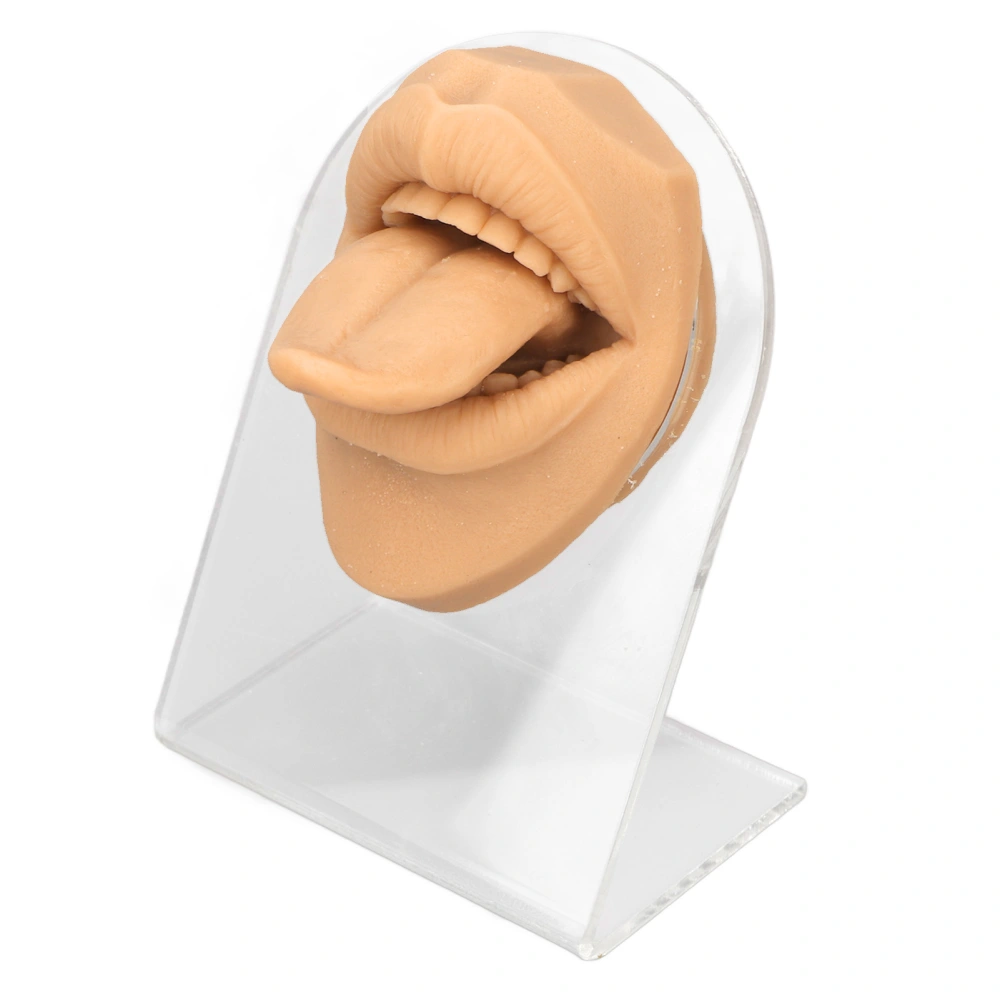 Human Tongue Model Soft Silicone Lifelike Acrylic Stand Mouth Model for Jewelry Display Skin Color