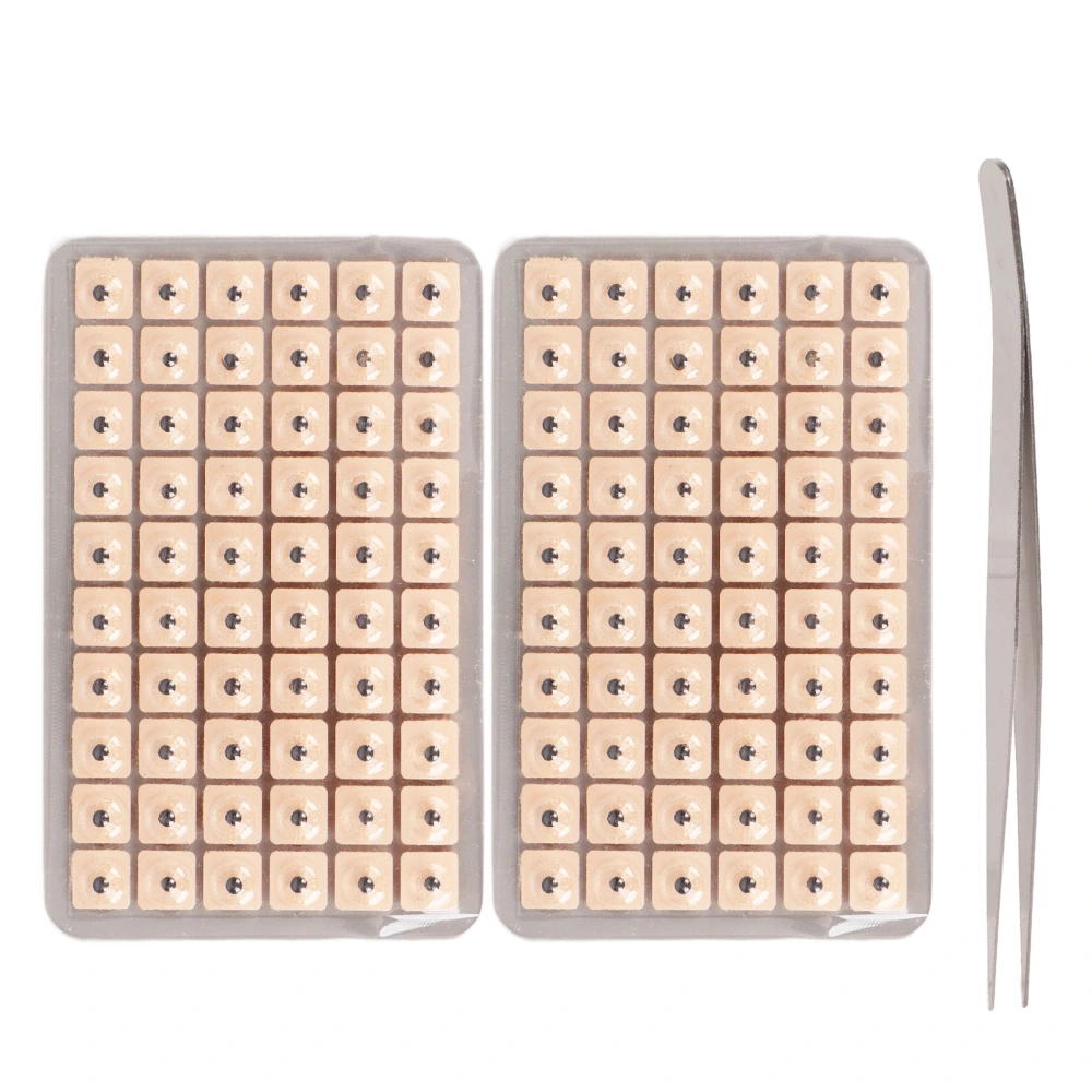 120pcs Ear Pressure Patch Magnet Lose Weight Lose Weight Acupuncture Ear Press Bead for Removing Dark Circles