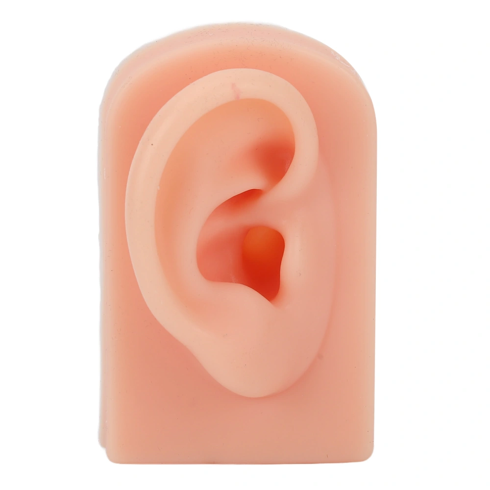 Silicone Ear Model Soft Flexible Right Ear Reusable Human Ear Model for Ear Piercing Training And Earrings Display Light Complexion