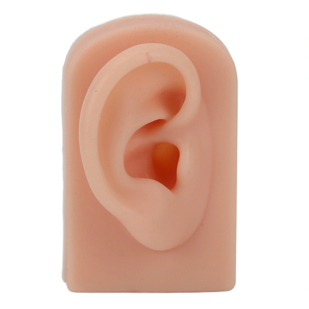 Silicone Ear Model Soft Flexible Right Ear Reusable Human Ear Model for Ear Piercing Training And Earrings Display Dark Complexion