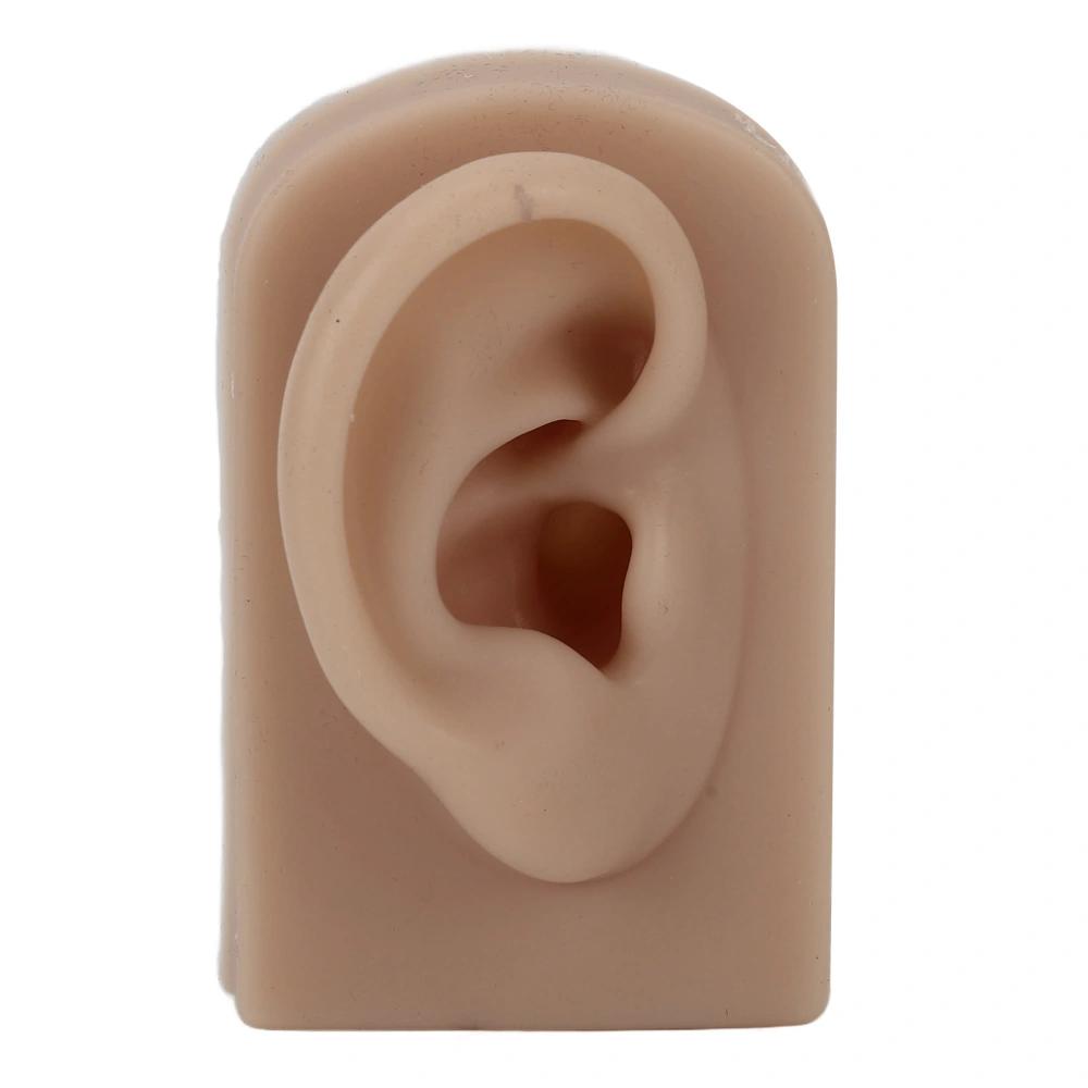 Silicone Ear Model Soft Flexible Right Ear Reusable Human Ear Model for Ear Piercing Training And Earrings Display Brown