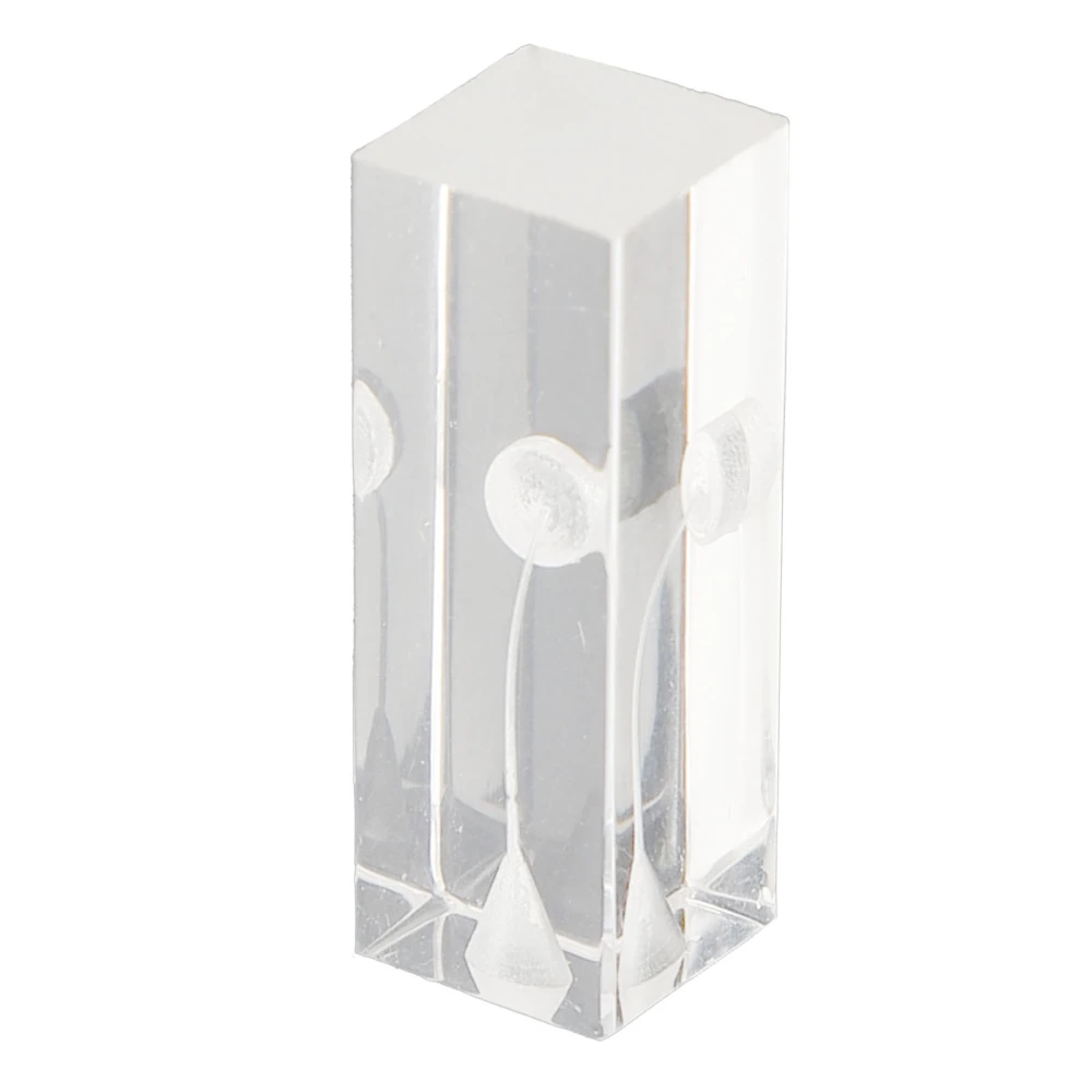 Root Canal Exercise Block Acrylic Transparent Clear Display Curved Oral Endodontic Root Model