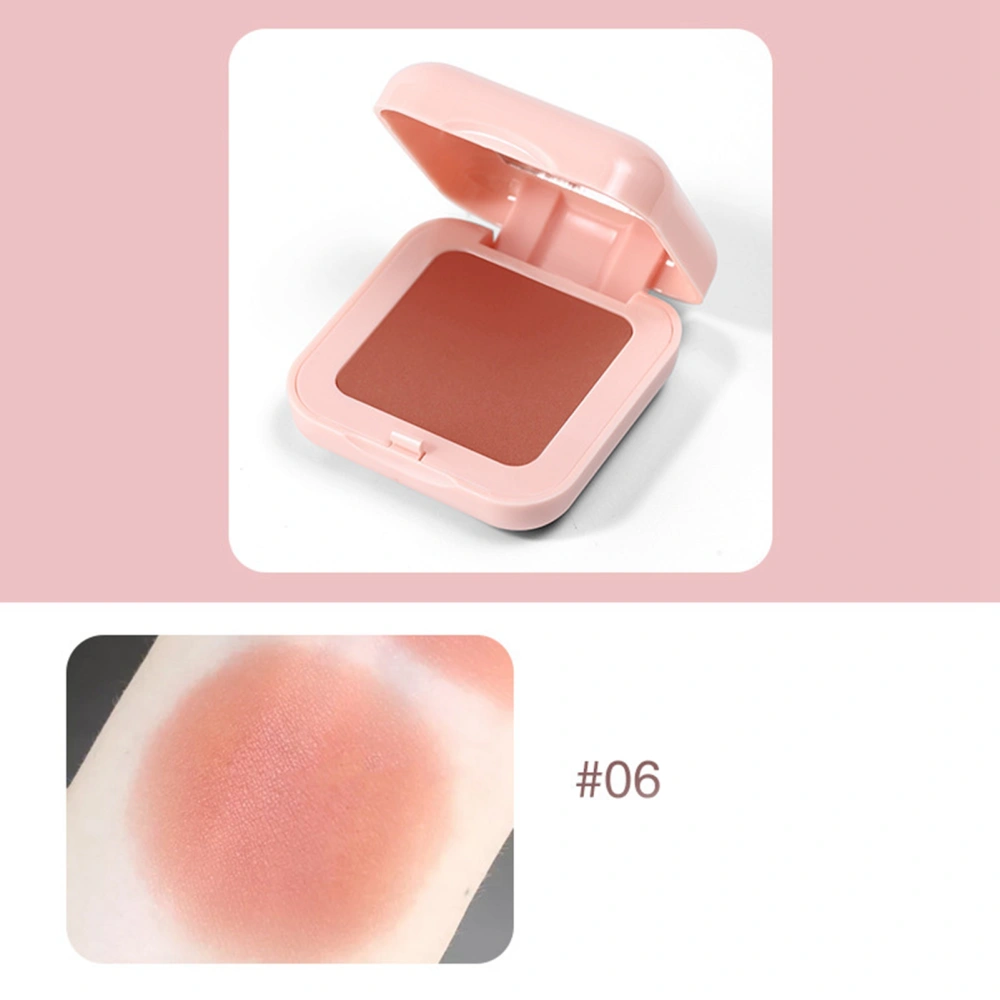 Face Blusher Natural Fine Powder Long Lasting Pink Case Cute Face Blush Powder with Brush for Women 06 Brick Red