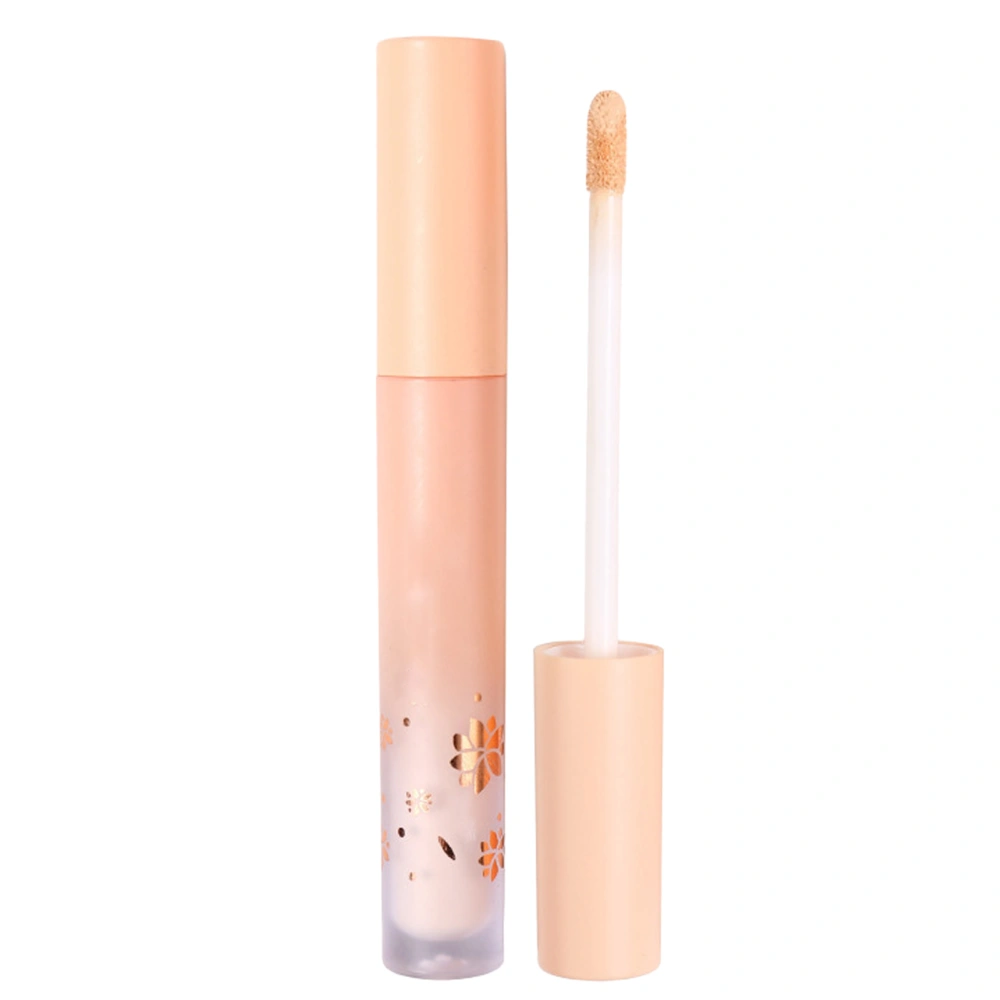 Spots Cover Concealer Waterproof Long Lasting Brighten Skin Colour Base Makeup Liquid 02