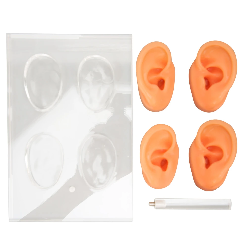 Human Ear Model Silicone Ear Model with Acrylic Stand for Teaching Instructions Shop Window Display