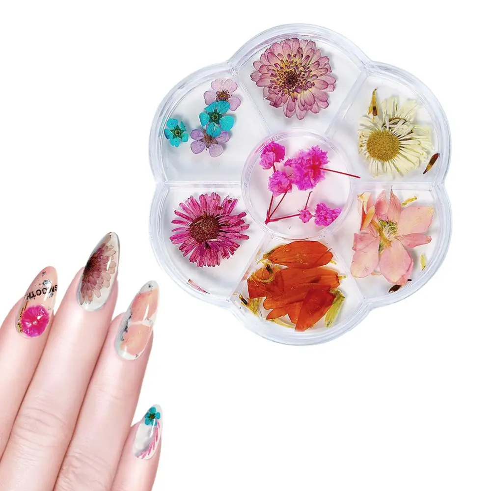 1 Box Dried Flower 6 Grids Nails Decoration DIY Nails Art False Flowers for Women Manicure DIY Nail Decorations 02