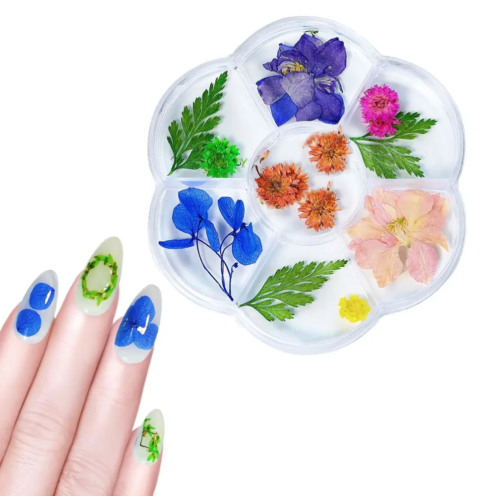 1 Box Dried Flower 6 Grids Nails Decoration DIY Nails Art False Flowers for Women Manicure DIY Nail Decorations 06