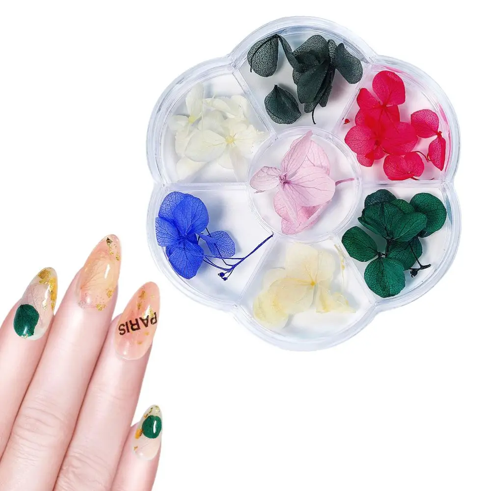 1 Box Dried Flower 6 Grids Nails Decoration DIY Nails Art False Flowers for Women Manicure DIY Nail Decorations 04