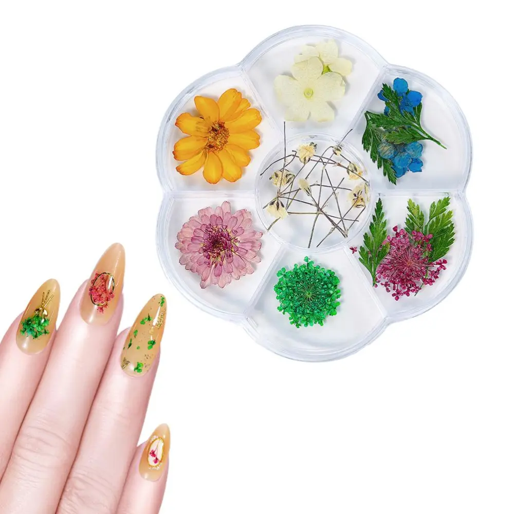 1 Box Dried Flower 6 Grids Nails Decoration DIY Nails Art False Flowers for Women Manicure DIY Nail Decorations 03