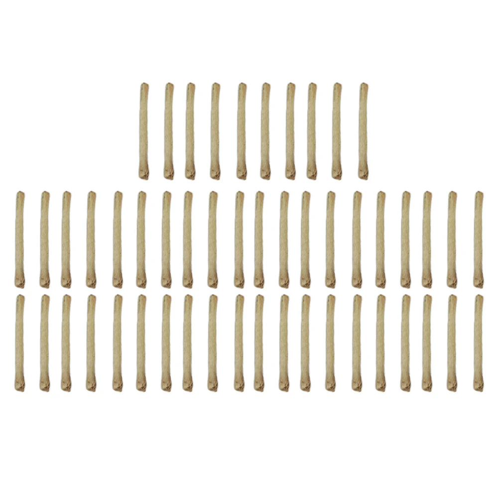 50pcs Tea Stem Stud Earrings Prevent Inflammation Tea Rod Curing Ear Hole Stick for WomenThin