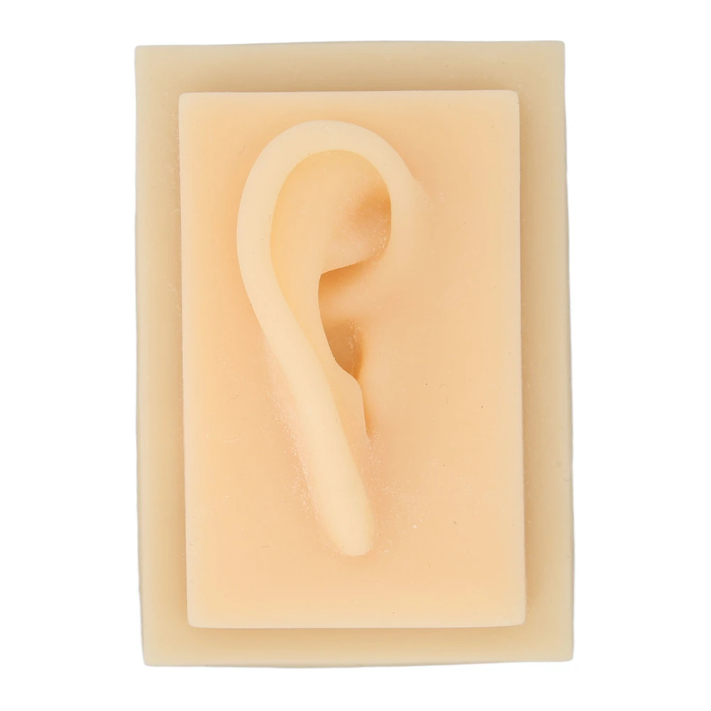 Silicone Ear Glossy Texture Vivid Shape Comfortable Soft Human Ear Model for Teaching Presentation ToolsRight Ear