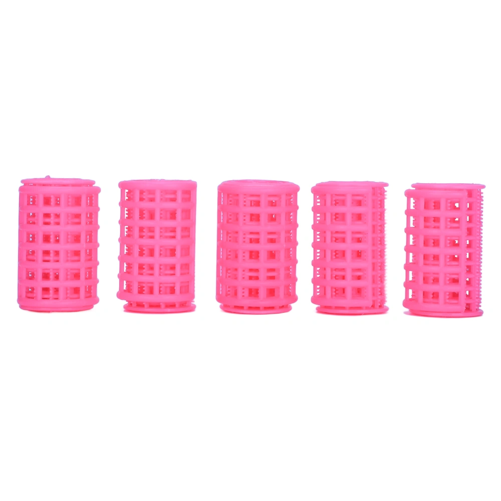 5pcs Hair Rollers Plastic Self Grip Hair Roller Hairdressing Dressing Curlers for Fixing Hairstyle