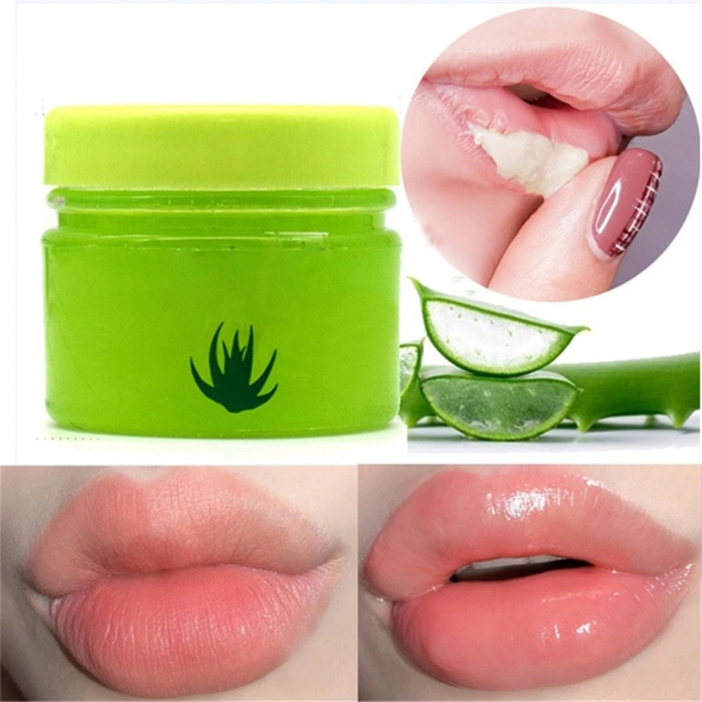 Aloe Maintenance Moistened Lip Balm Lips Moisturizing Balm Lips Care