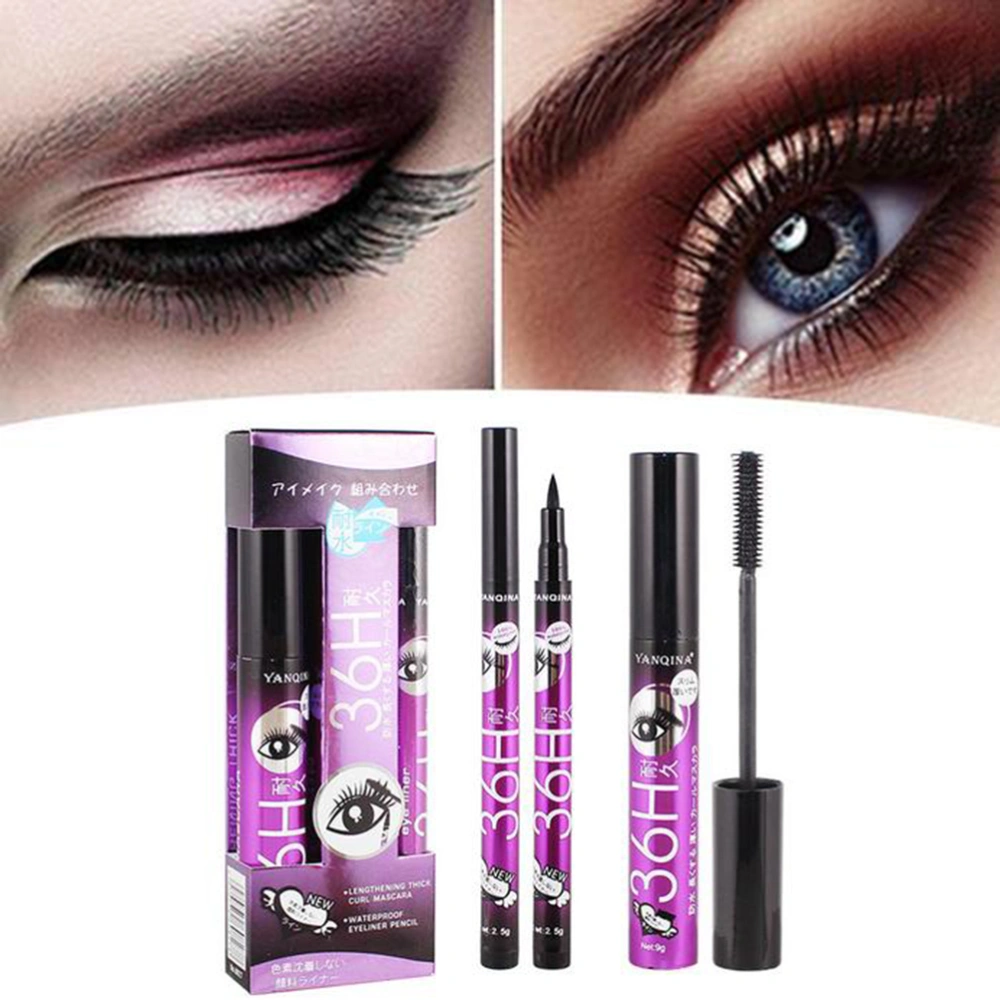 4D Silk Fiber Lash Mascara and Eyeliner Waterproof Smudge Proof Mascara with Eyeliner Combo Set