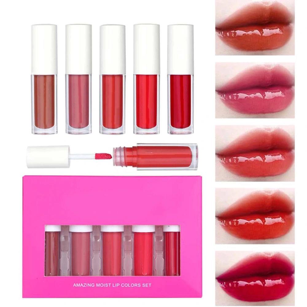 5 Pcs Moisturizing Lip Gloss Kit Matte Lipstick Sexy Long Lasting Liquid Lipstick Matte Lip Gloss Lip Makeup