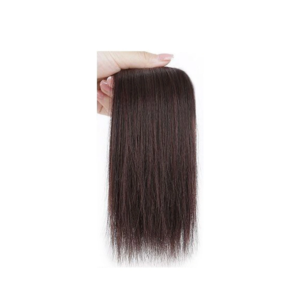 Women Girls Hairpiece Hair Thickening Fluffy Synthetic Hair Piece Wig for Dating Birthday PartyLight Brown 20cm / 7.9in