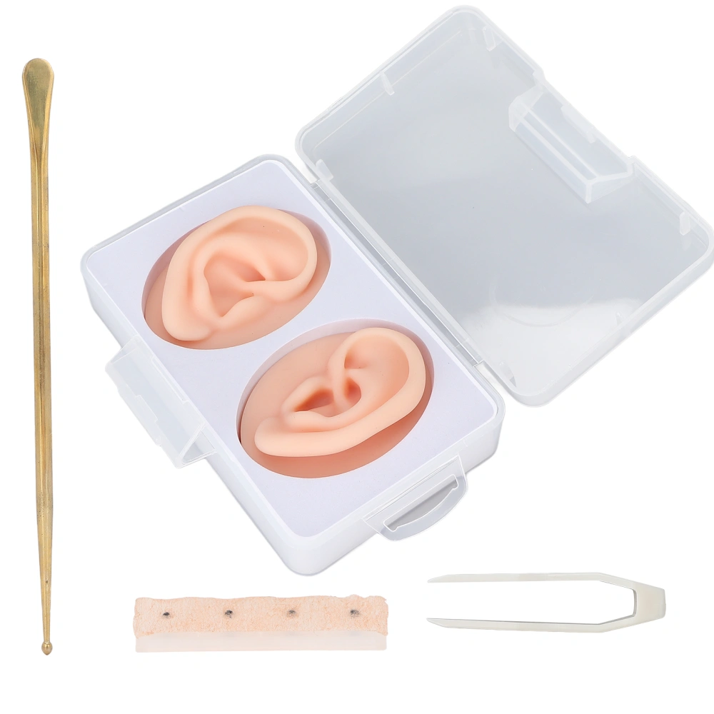 Ear Model Relieving Pain Small Compact Reliable Durable Convenient Practical Piercing Practice Body Accessories