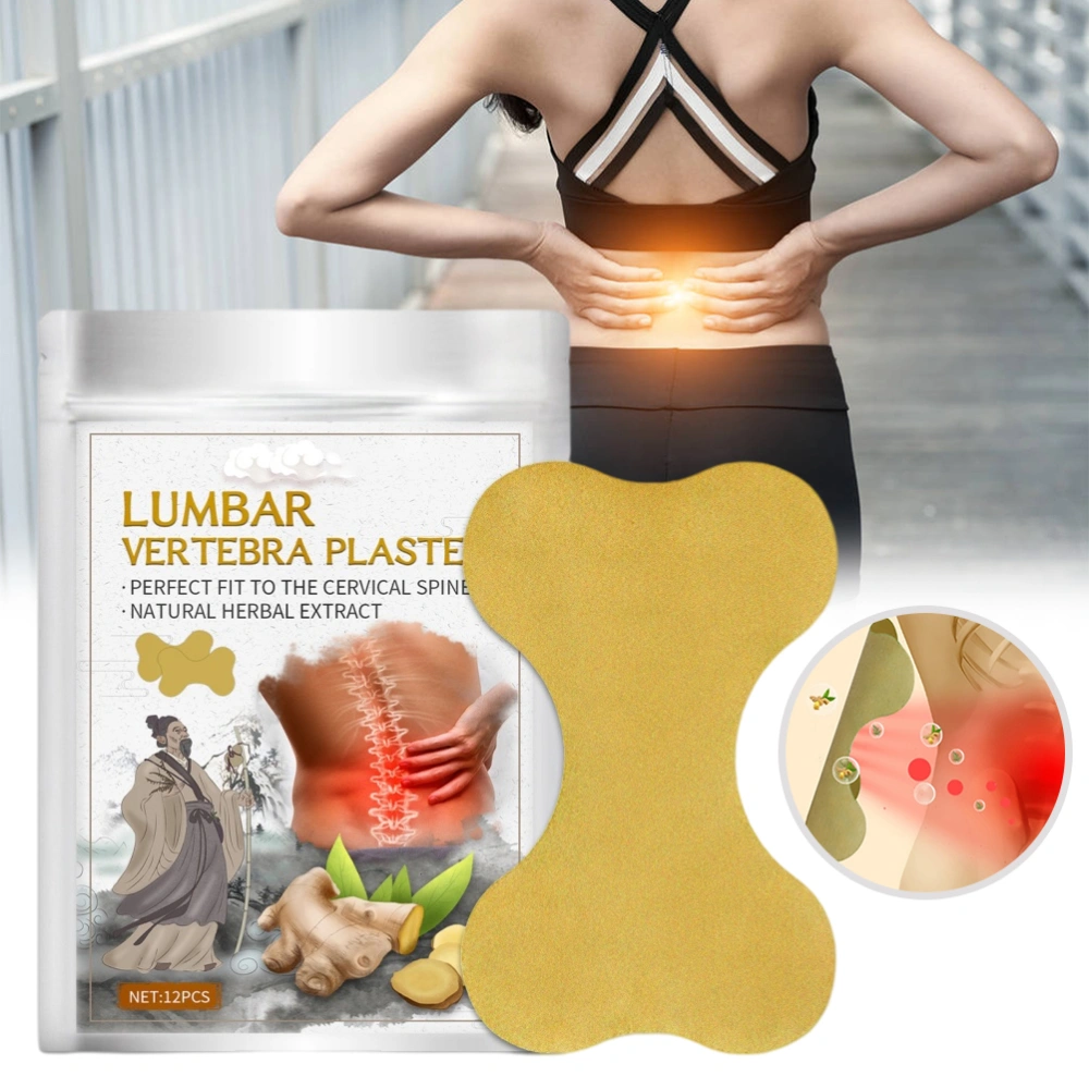 12PCS Ginger Lumbar Patch Body Health Patch for Neck and Knee Discomfort